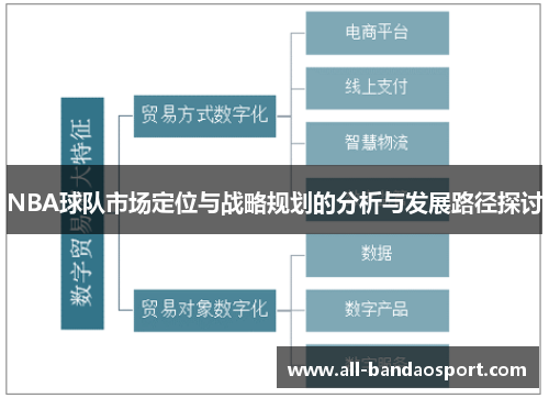 NBA球队市场定位与战略规划的分析与发展路径探讨