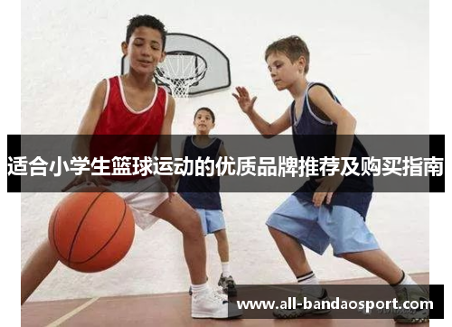 适合小学生篮球运动的优质品牌推荐及购买指南