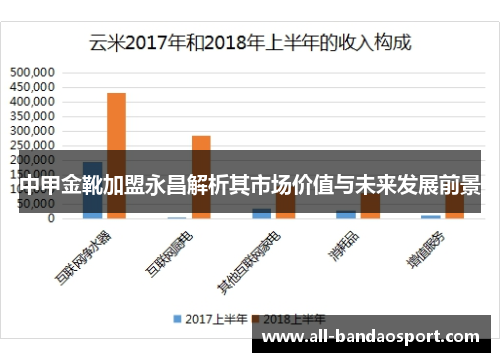 中甲金靴加盟永昌解析其市场价值与未来发展前景