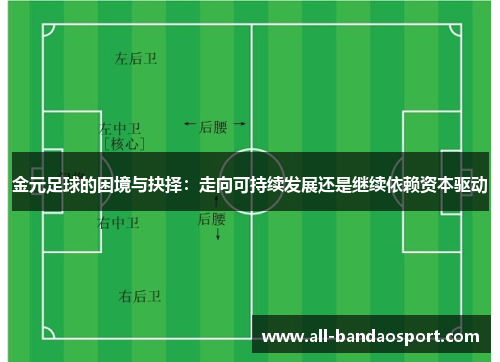 金元足球的困境与抉择：走向可持续发展还是继续依赖资本驱动