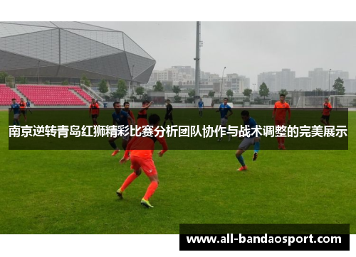 南京逆转青岛红狮精彩比赛分析团队协作与战术调整的完美展示