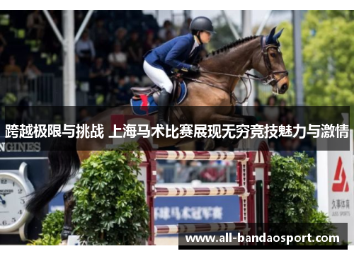 跨越极限与挑战 上海马术比赛展现无穷竞技魅力与激情