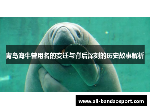 青岛海牛曾用名的变迁与背后深刻的历史故事解析